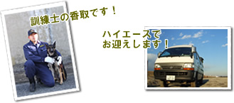 訓練士の香取です。ハイアースでお迎えします